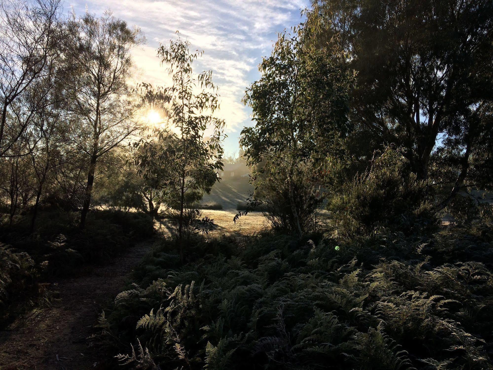 Grampians Pioneer Cottages Halls Gap Extérieur photo